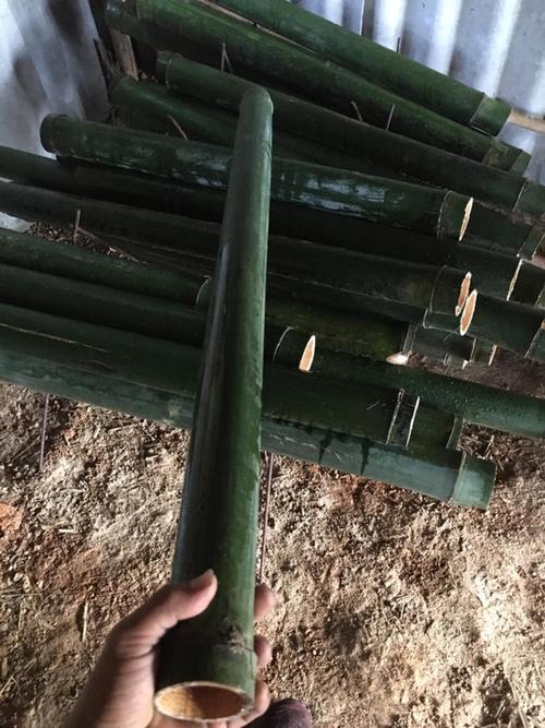 竹韵匠心——从竹林到竹制品的绿色加工之路